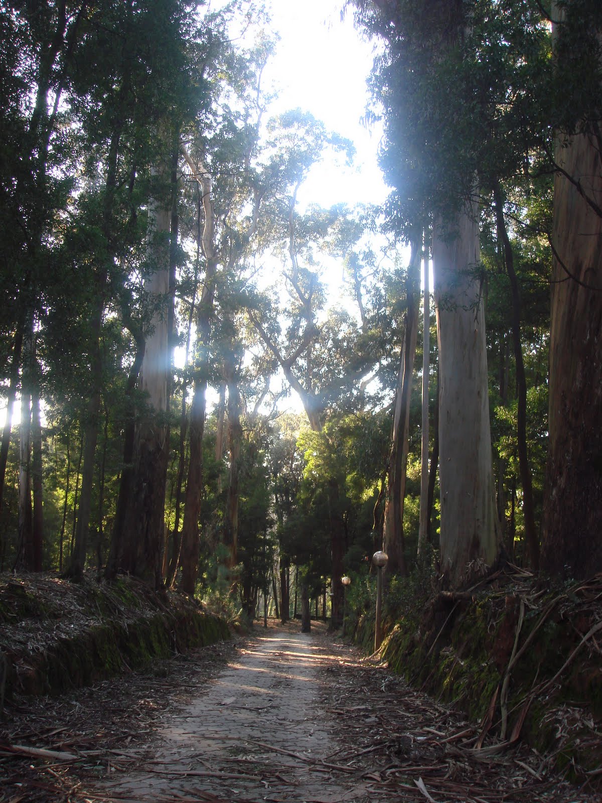 [DSC02641.JPG]