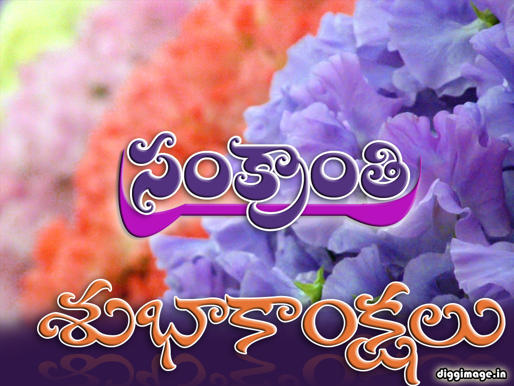 Sankranti Greeting and wishes in Telugu wish you a Happy ...