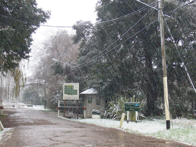 Foto gentileza de la Flia. Bossi