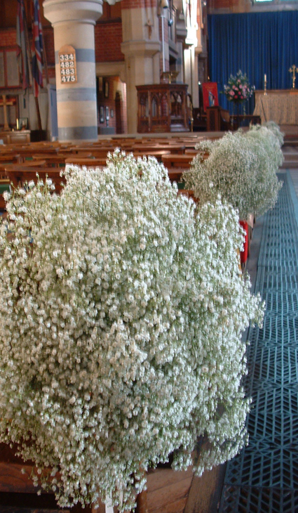 Today's wedding at St Philips Church Hove Aisle flowers with simple white