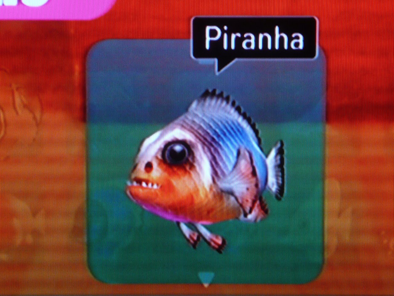 [Piranha.JPG]