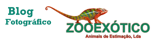 BLOG FOTOGRÁFICO ZOOEXÓTICO