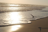 Alabama Beach