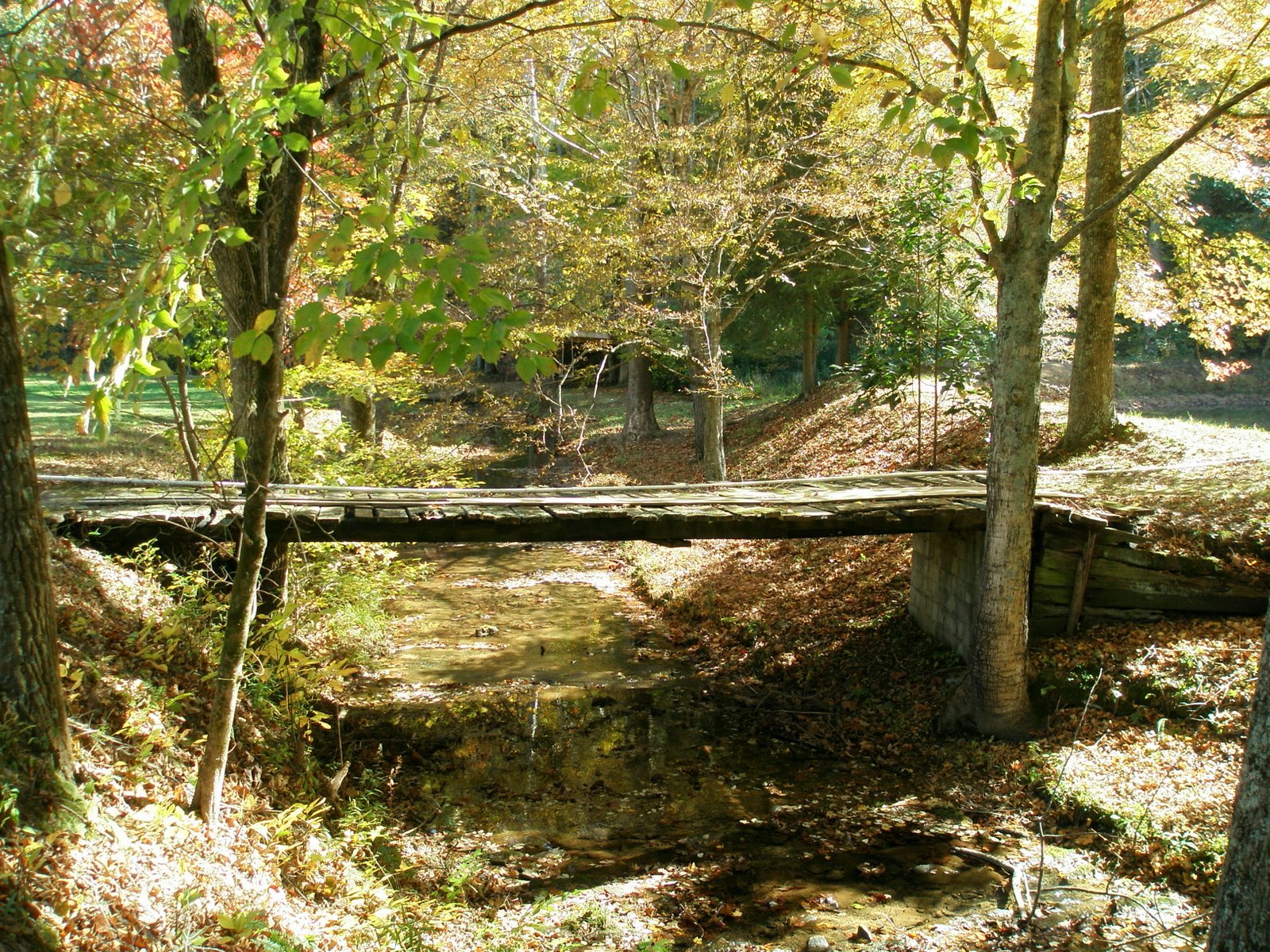 [PB010027.JPG]