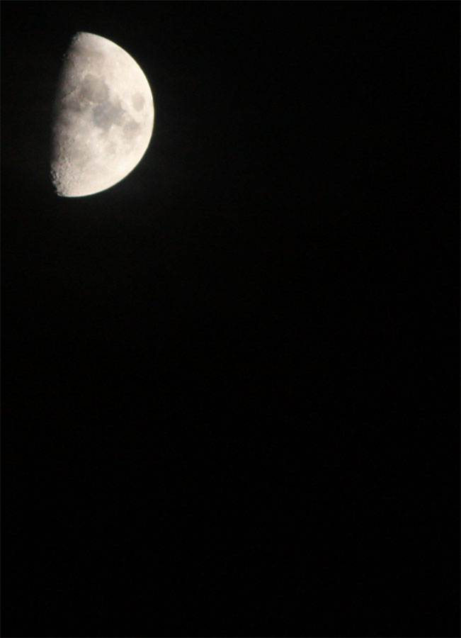 [Goodnight-Moon.jpg]