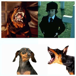 Cikibawawaw Anjing Sosis Spike Gita