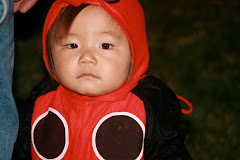 Little Ladybug