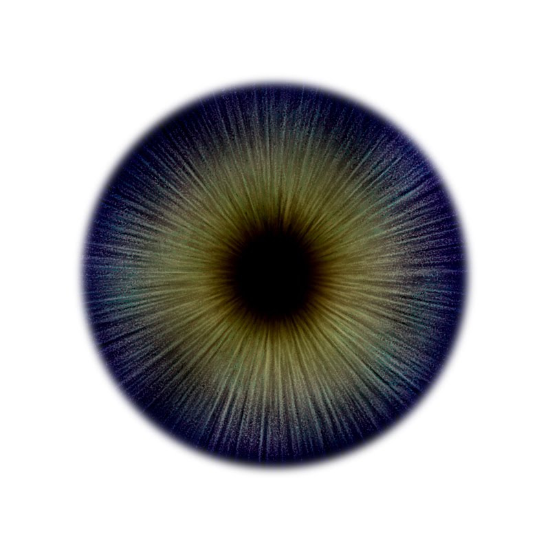 eye_filter_lillianwong.jpg (800×800) Filters, Eyes, Blender