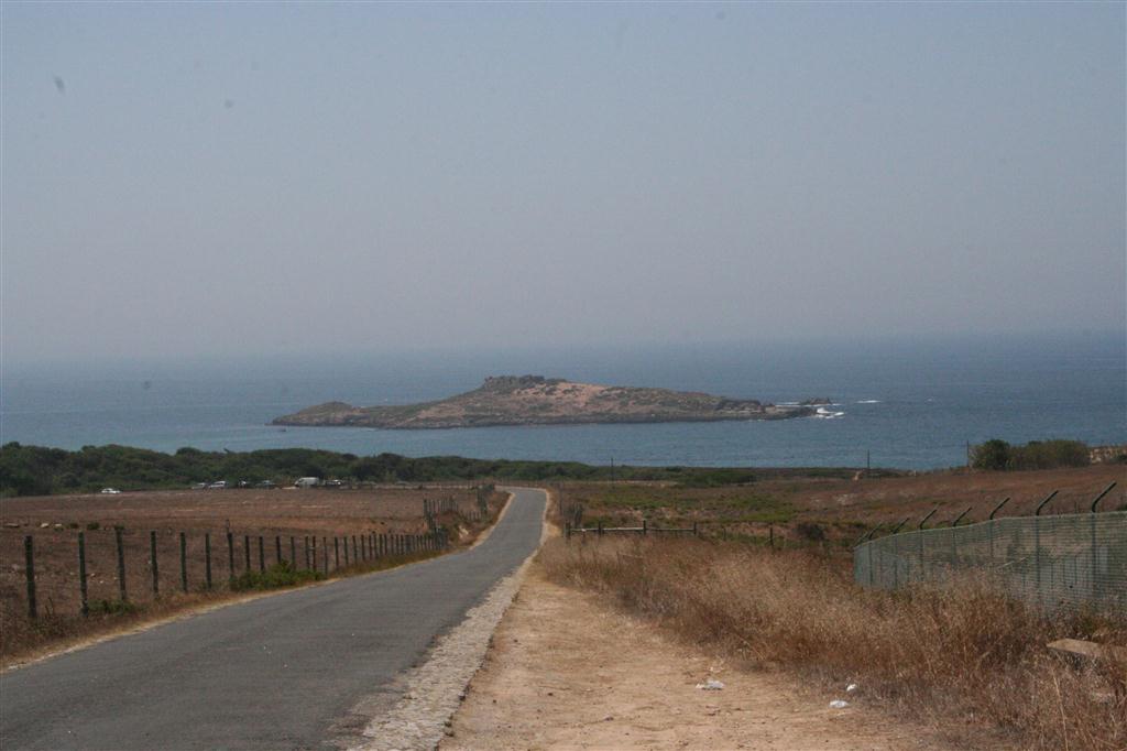 [IMG_5772+(Large).JPG]