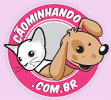 CãoMinhandO