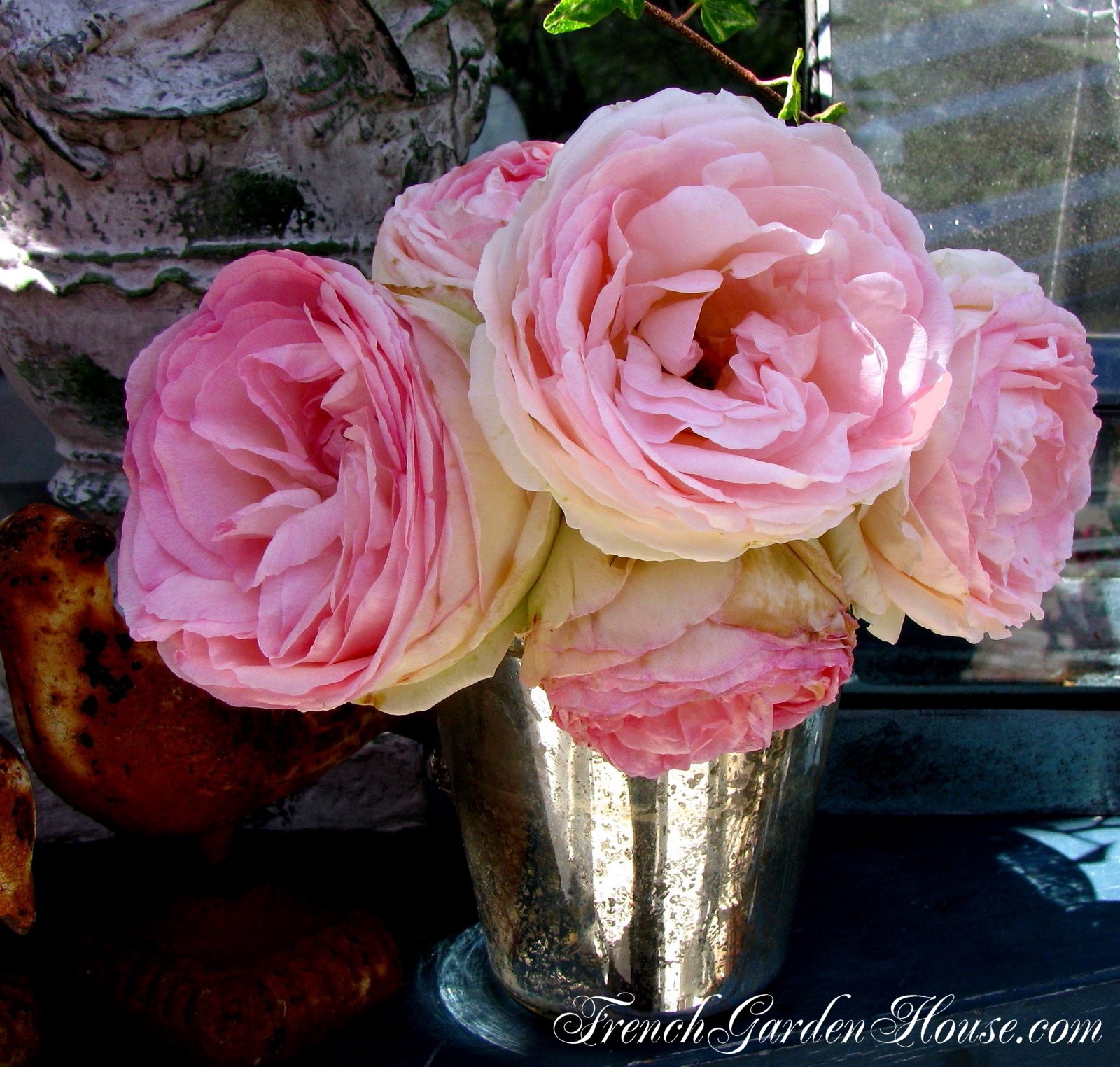 Take Care of Cut Roses Ultimate Rose Care