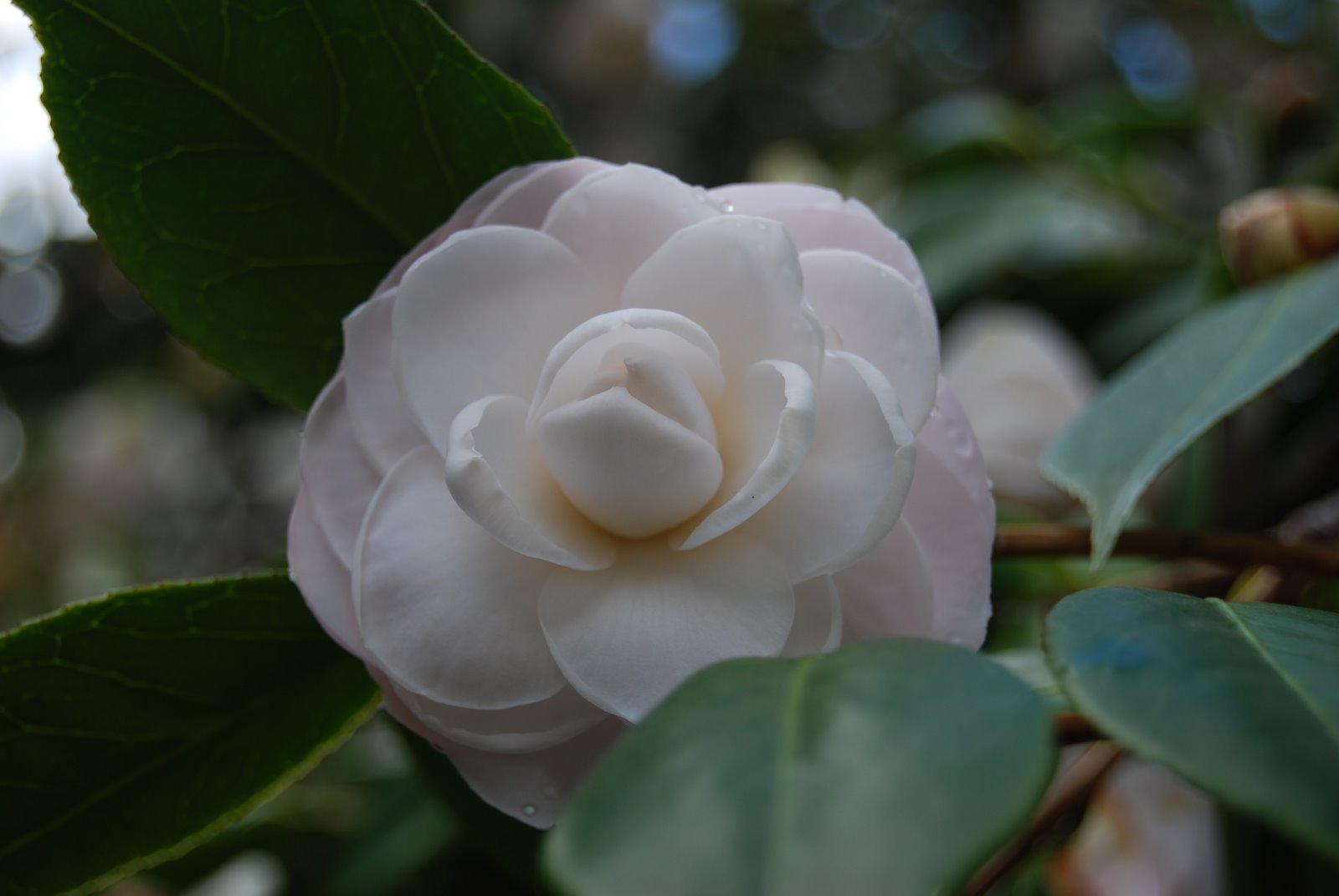 [DSC_0018.JPG]