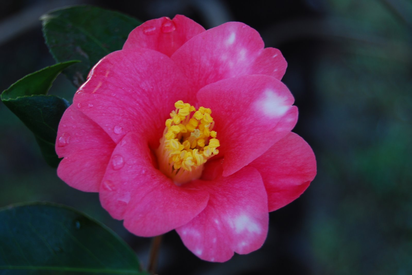 [DSC_0024.JPG]