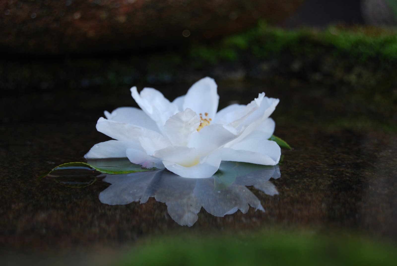 [DSC_0002.JPG]