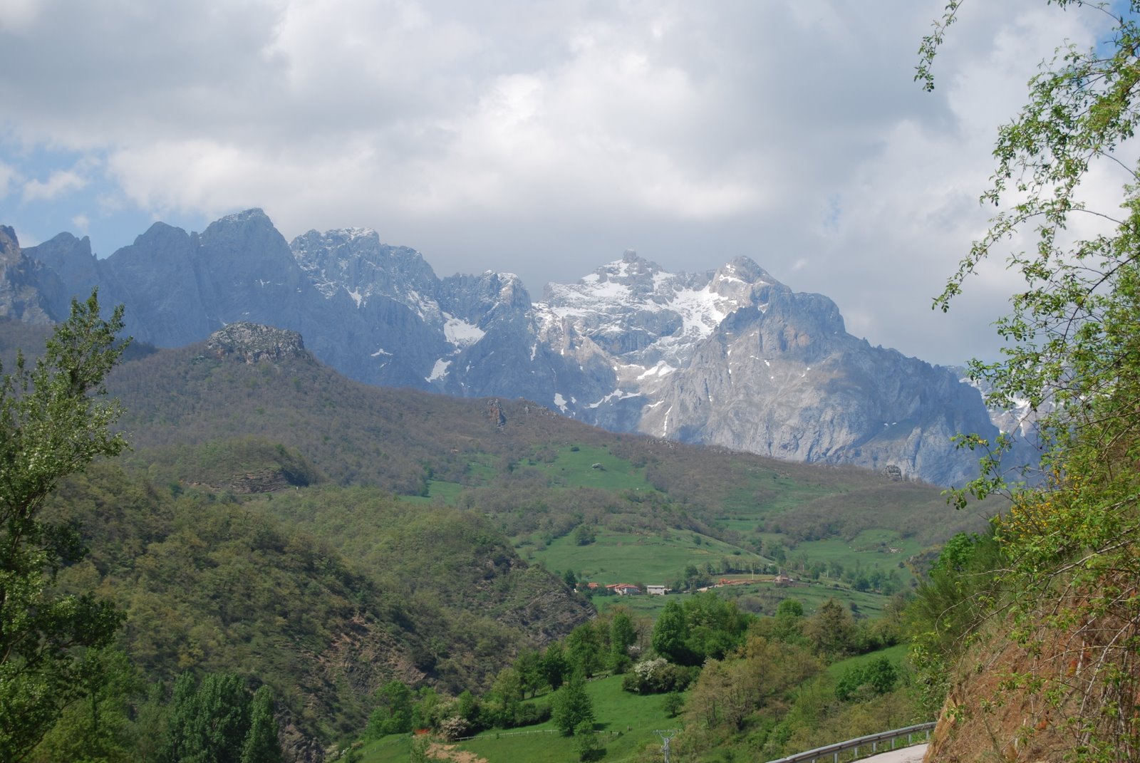 [DSC_0474.JPG]