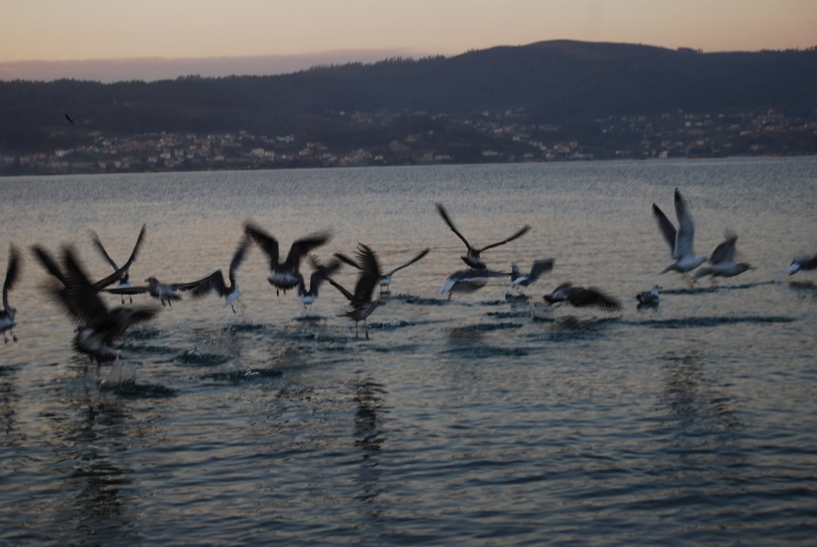 [DSC_0472.JPG]