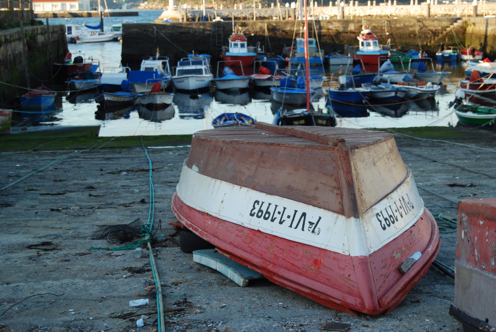 [DSC_0593.JPG]