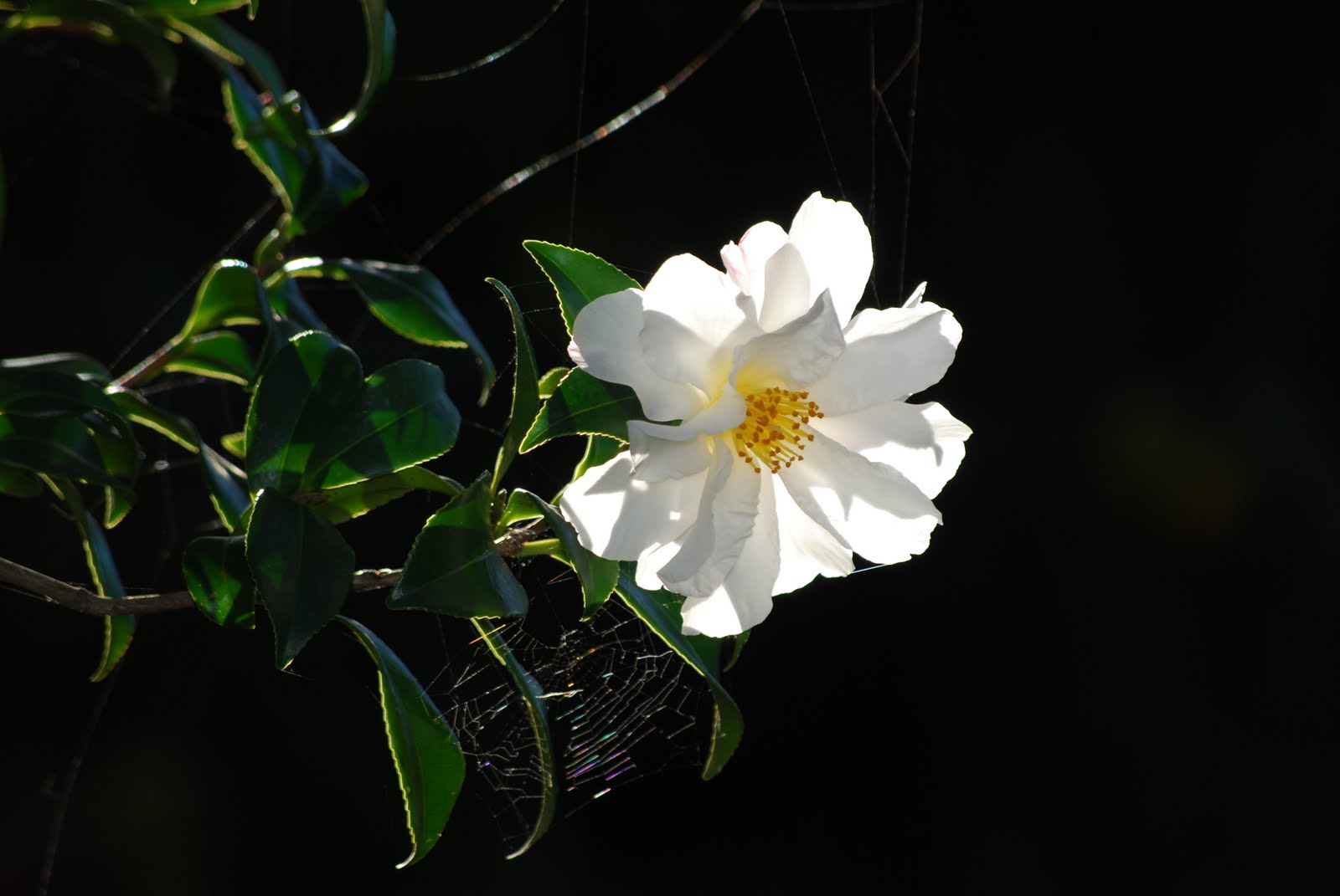 [DSC_1704.JPG]