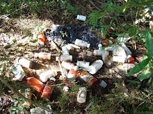 Week # 7 - Litter Within Nature