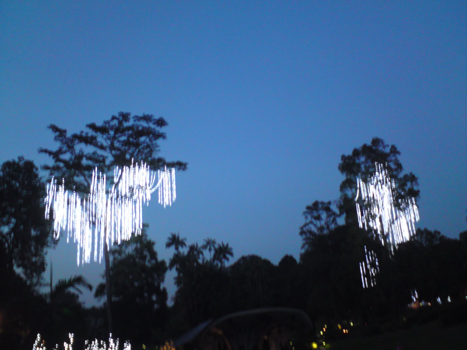 [DSC01892.JPG]