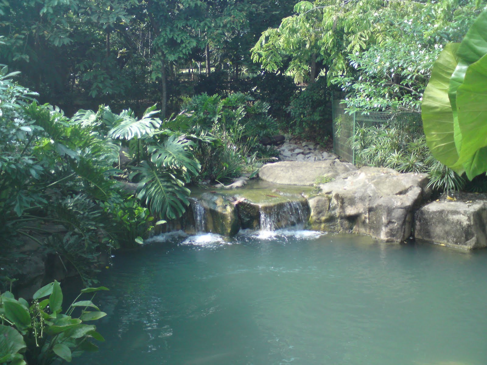 [DSC01849.JPG]