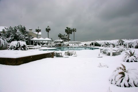 [Snow+Deb+Pool.JPG]