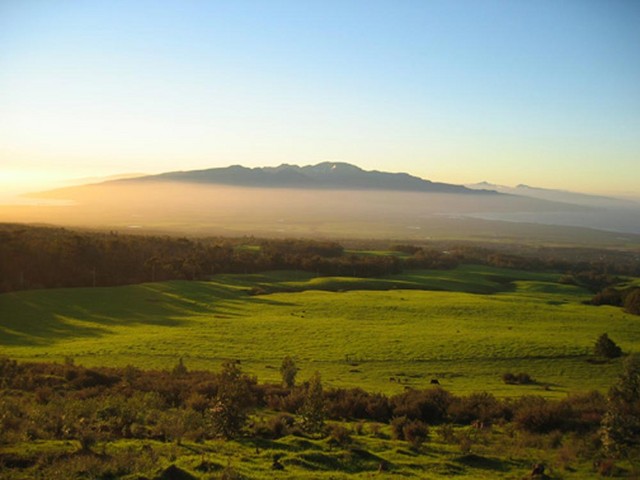 [Olinda_SunsetPasture.sized.jpg]