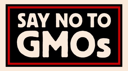 [gmo-back.JPG]
