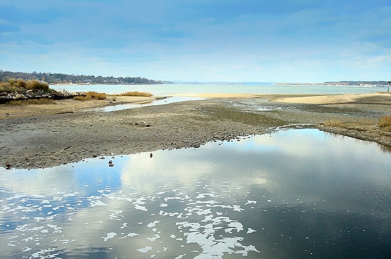 SOUNDBOUNDER Leeds Pond Preserve