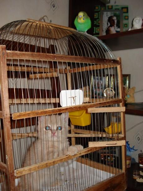 [image002.jpg]