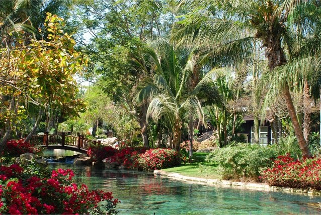 Backyard Design: Backyard Designs For The Budget Minded