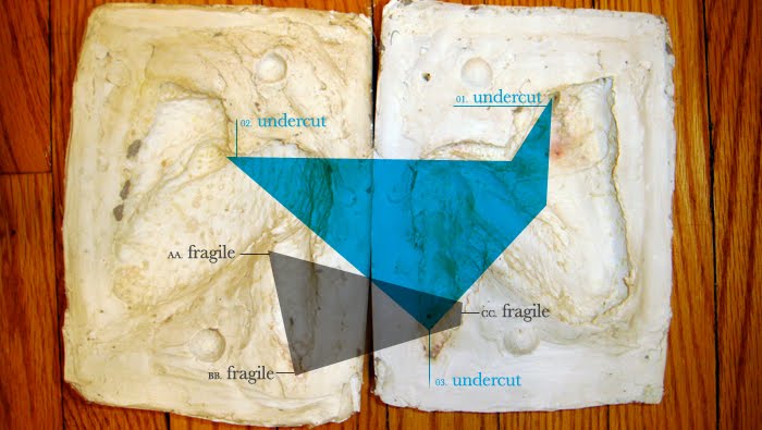 Labeled Chicken Wing