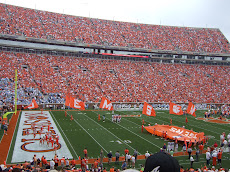 CLEMSON FIGHTING TIGERS