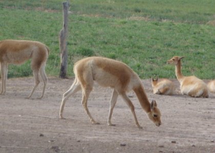 [DPSCamera____092.JPG]