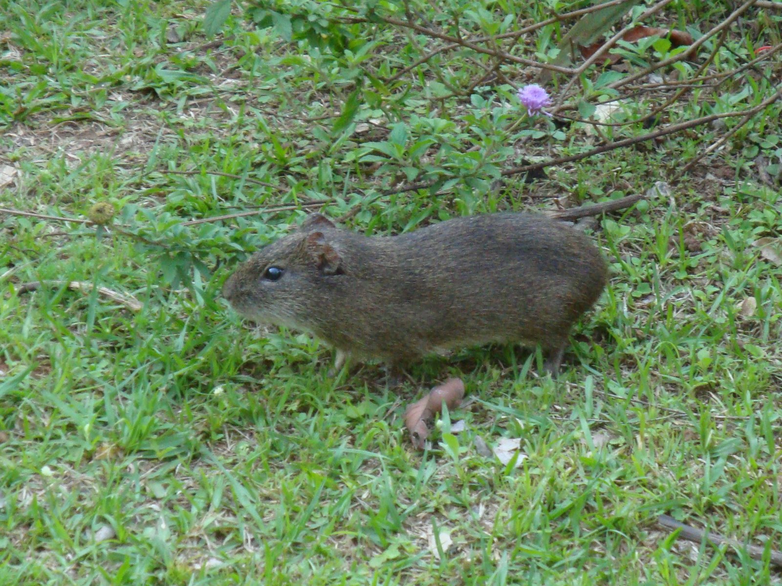 [DSC02114Cui.JPG]