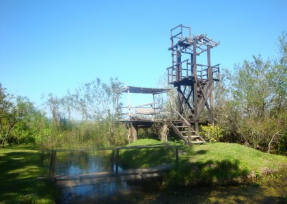 [DSC02303c.JPG]