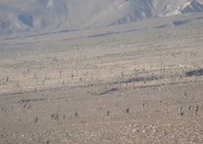 [DPSCamera____032.JPG]