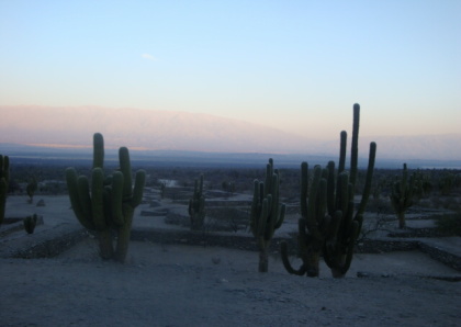 [DPSCamera____050.JPG]