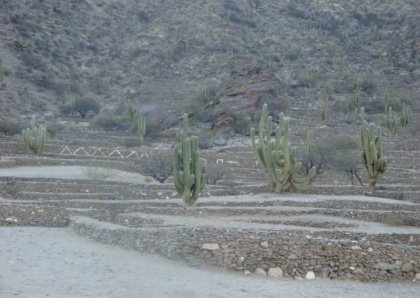 [DPSCamera____047.JPG]