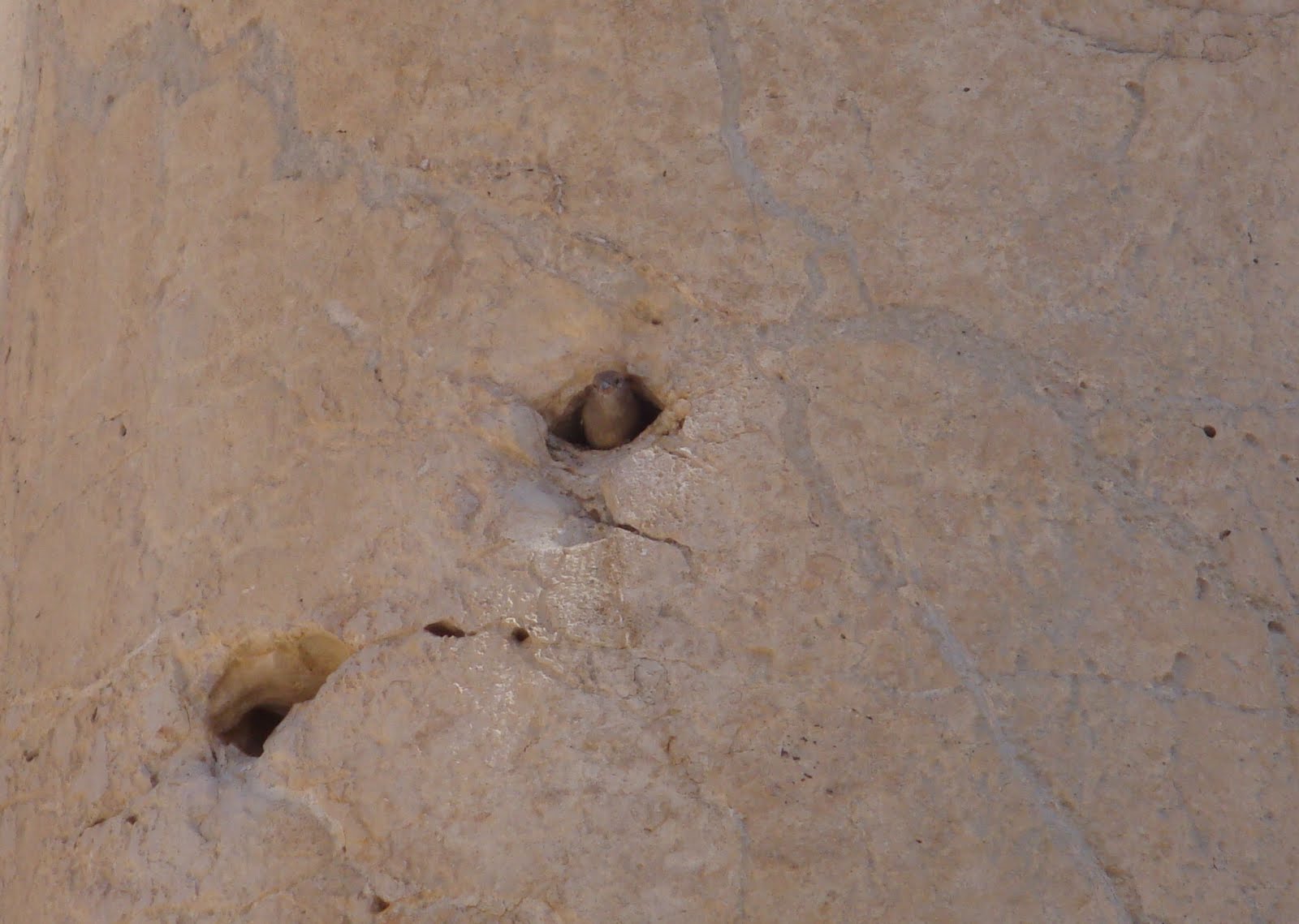 [08Jerash08.JPG]