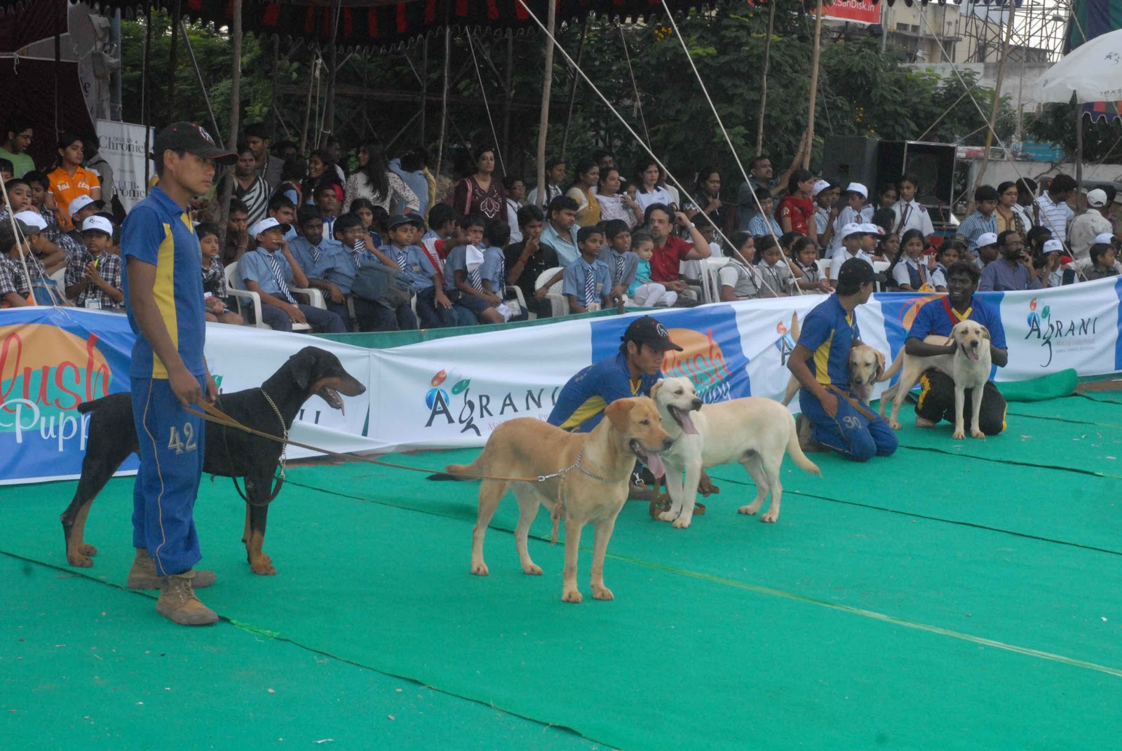 test Sports Dog Show at Hyderabad Stills, Hyderabad Canine Club Dog