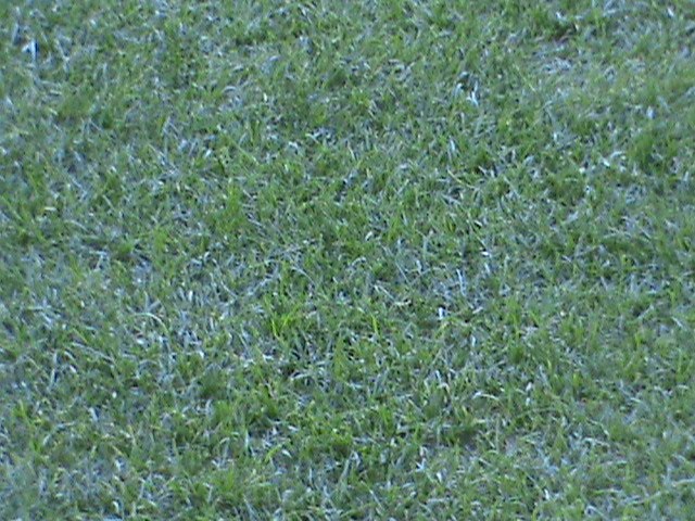 [DSC00060.JPG]