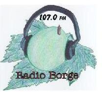 Radio Borge; Emisión on Line