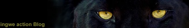 Ingwe Leopard Research