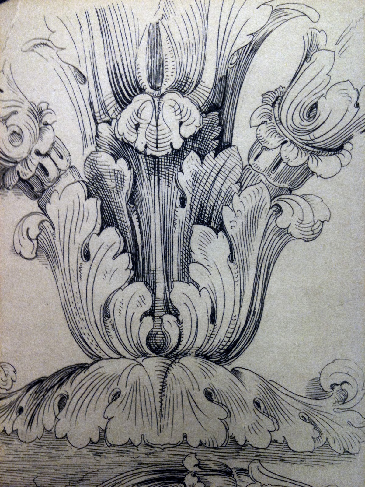 surface fragments How to draw the Acanthus, Part II