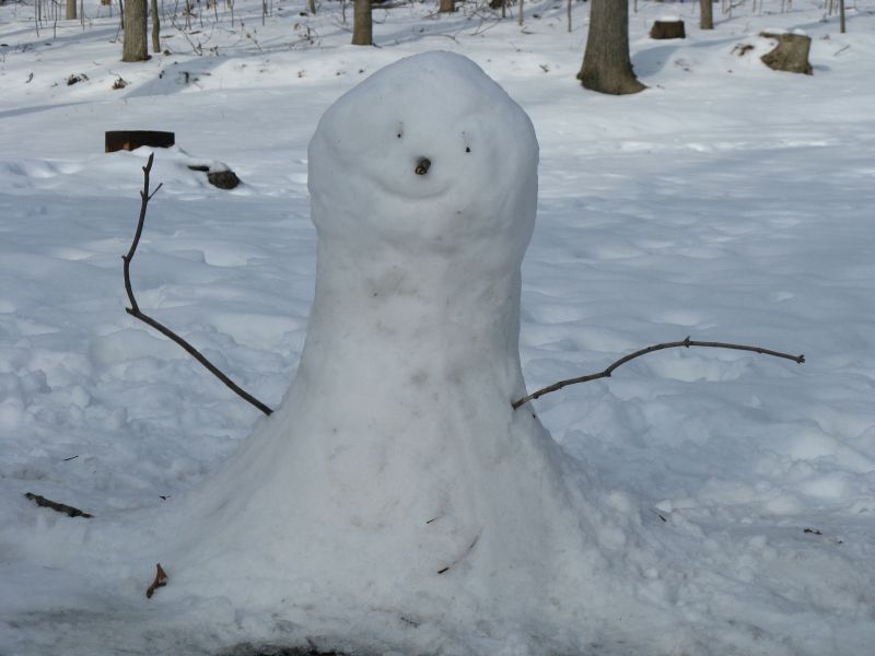[Snowman.jpg]