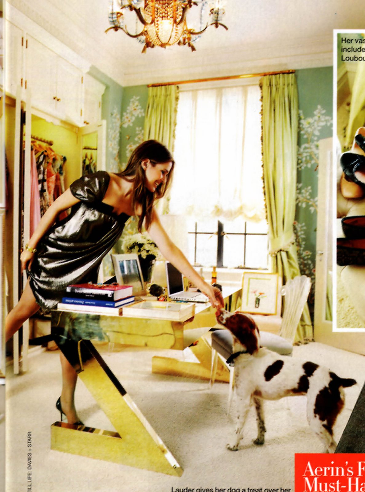 [officelauder_edited.jpeg]