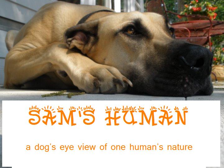 Sam's Human