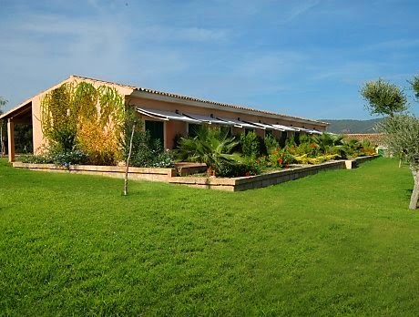 EL MUNDO DE LA JARDINERIA Y LA AGRONOMÍA: El Cesped