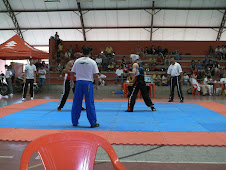 CAMPEONATO MINEIRO KICKBOXING